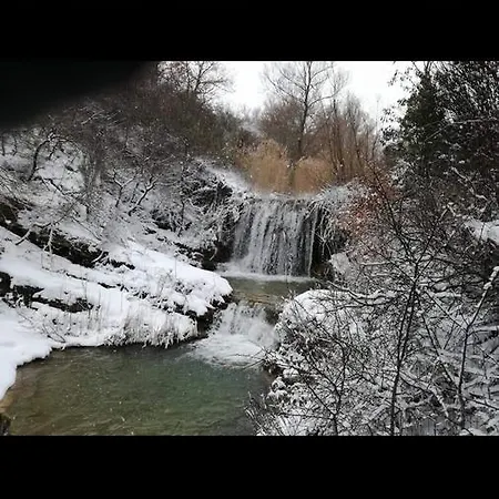 住宿加早餐酒店 Belvedere