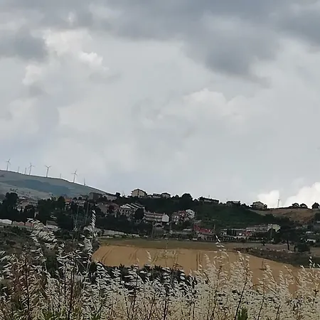 住宿加早餐酒店 Belvedere 3*